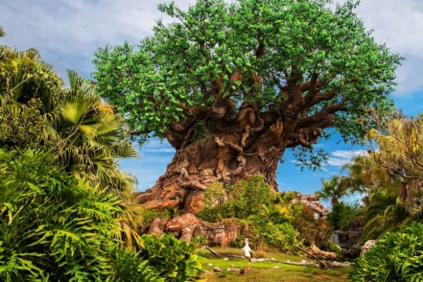 Image shows the Tree of Life at Disney's Animal Kingdom, which has just introduced a newborn Giraffe, Tucker, as part of its conservation efforts