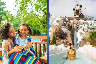 Blizzard Beach water park at Walt Disney World with Summit Plummet waterslide