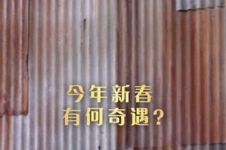 Star Wars Galactic Encounter with BDX Droids at Shanghai Disneyland. Photo courtesy of Shanghai Disney Resort