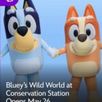 Bluey and Bingo at Conservation Station Disney's Animal Kingdom