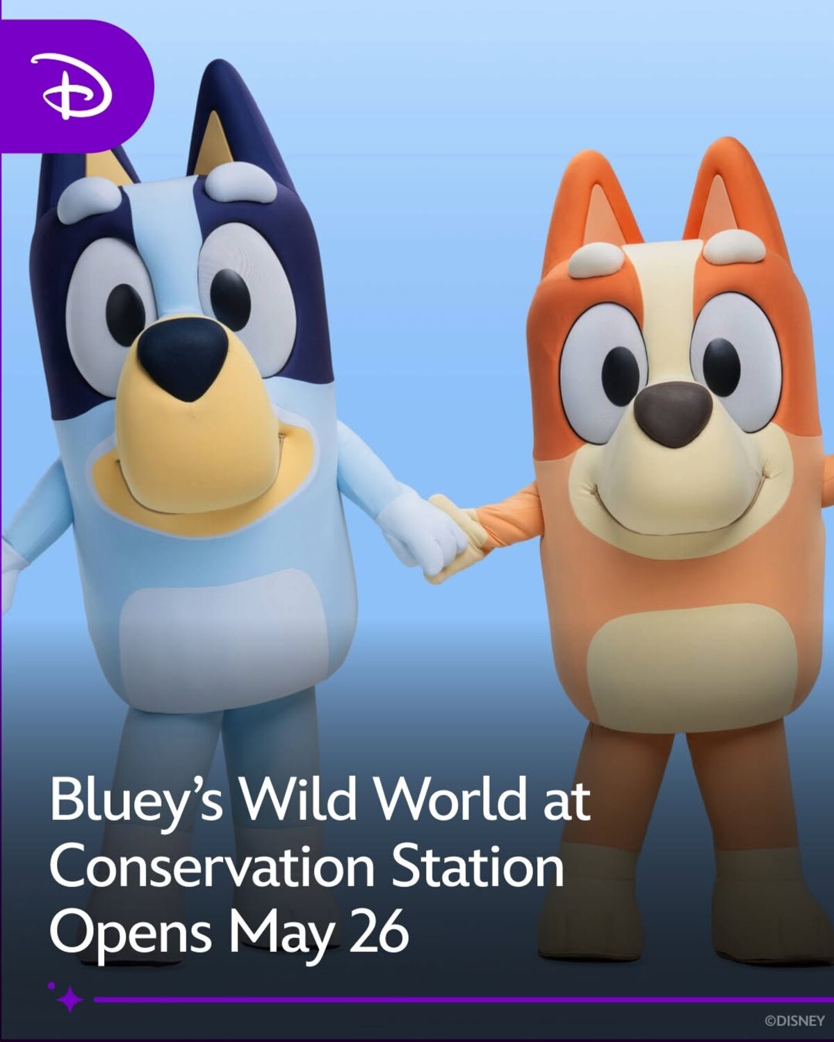 Bluey and Bingo at Conservation Station Disney's Animal Kingdom 2026