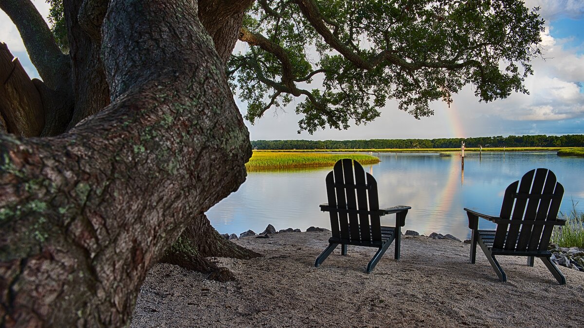 Nature and wildlife at Disneys Hilton Head Island Resort