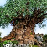 Disney Parks St. Patrick's Day 2026 celebration