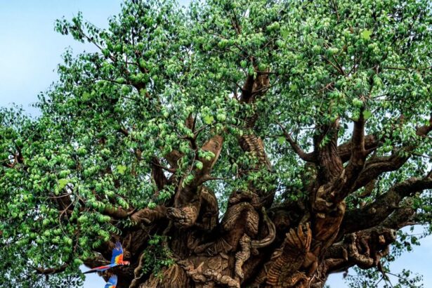 Disney Parks St. Patrick's Day 2026 celebration