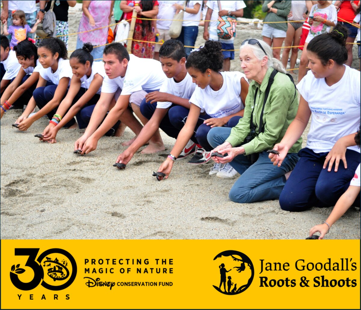 Disney Conservation Fund Hoppers youth challenge