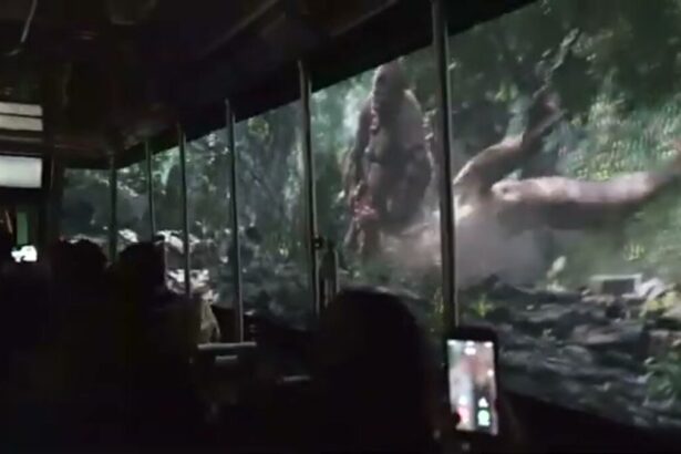 King Kong 360 at Universal Studios Hollywood Studio Tour