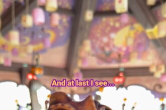 Raiponce Tangled Spin ride interior at Disney Adventure World showing Pascal statue and lantern ceiling murals