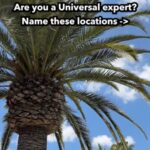 Universal Studios hidden easter eggs - look a little closer Instagram reel thumbnail