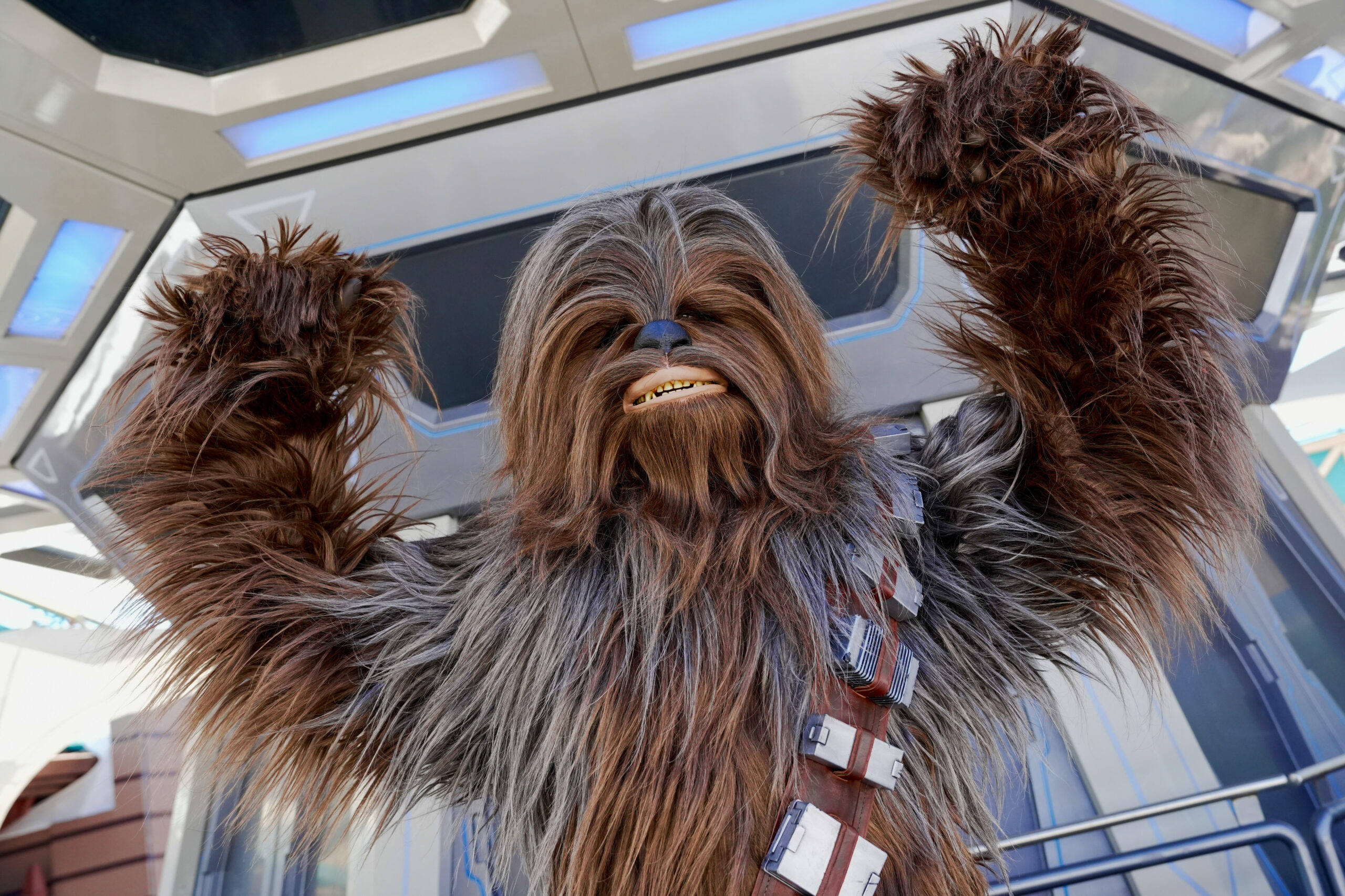 Chewbacca at Disneyland Paris for Star Wars Day
