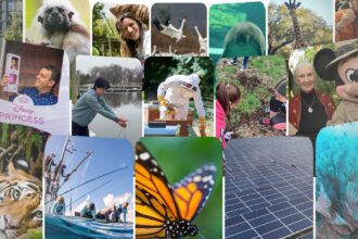 Disney Highlights 10 Young Conservation Leaders in Earth Day Announcement