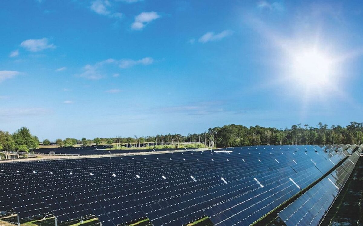 Ground-level view of a Disney solar field in Florida
