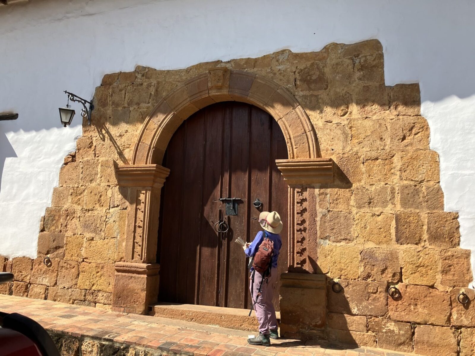 Imagineering research for Tropical Americas at Disney Animal Kingdom