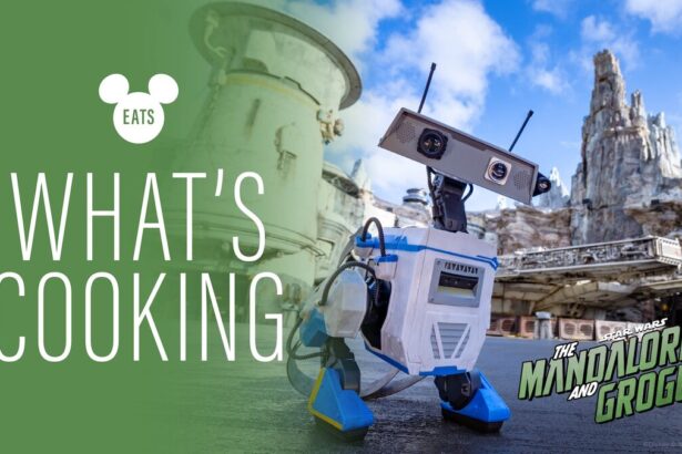 Disney shared a first look at new Mandalorian and Grogu food and novelties coming to Walt Disney World and Disneyland Resort.