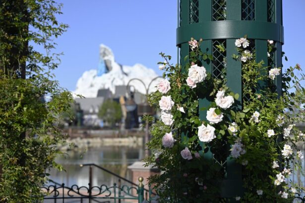 Landscaping at Disney Adventure World with pollinator-friendly plants