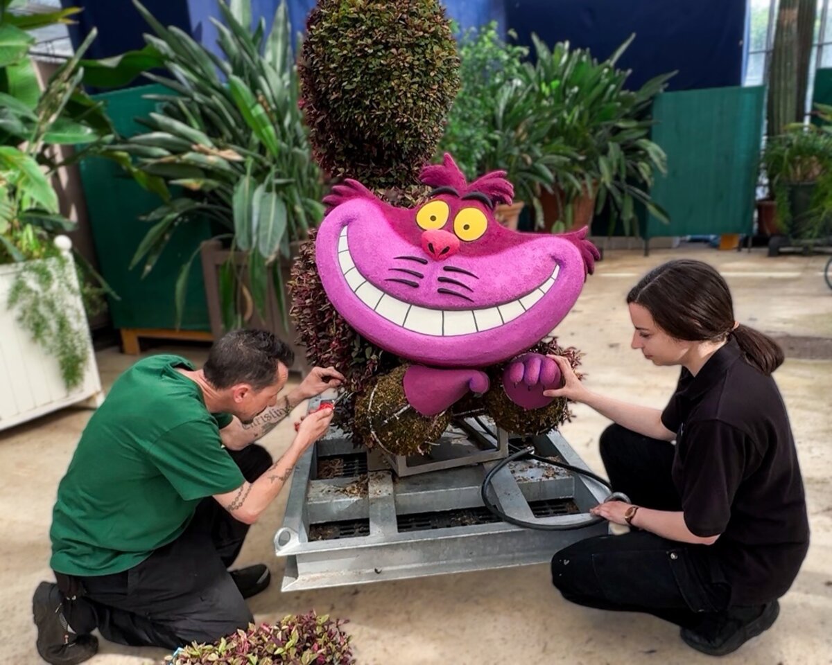 Cheshire Cat topiary face being assembled at Disneyland Paris