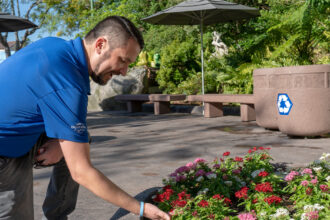 DreamWorks Land Plants Guide at Universal Orlando 2026