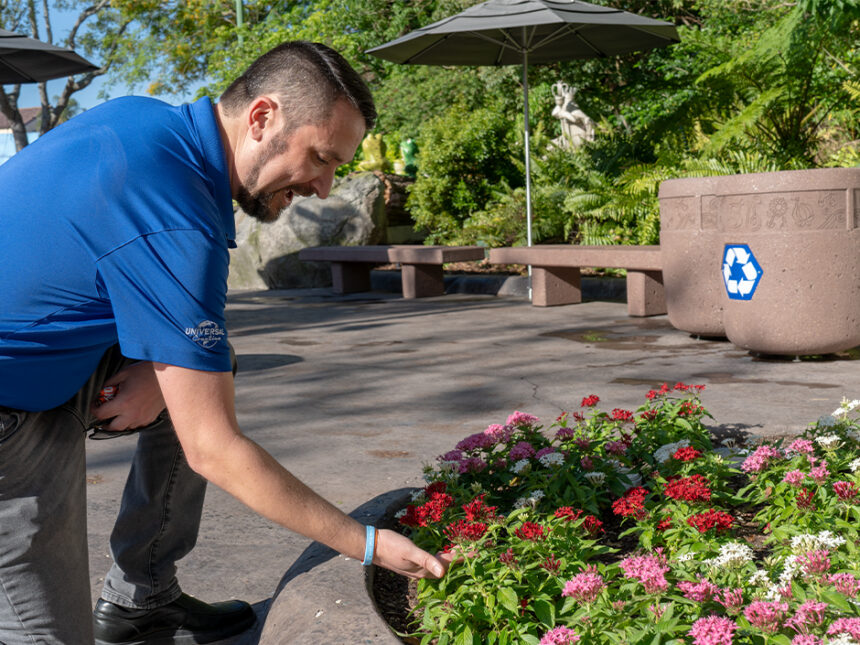DreamWorks Land Plants Guide at Universal Orlando 2026