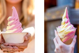 DOLE Whip at Disneyland Resort 2026: Every Location