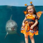 SeaWorld San Diego Spooktacular 2026: Dates, Baby Shark Show