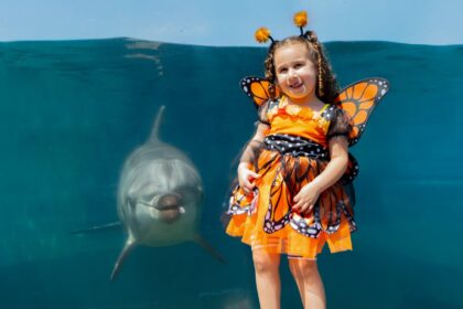 SeaWorld San Diego Spooktacular 2026: Dates, Baby Shark Show