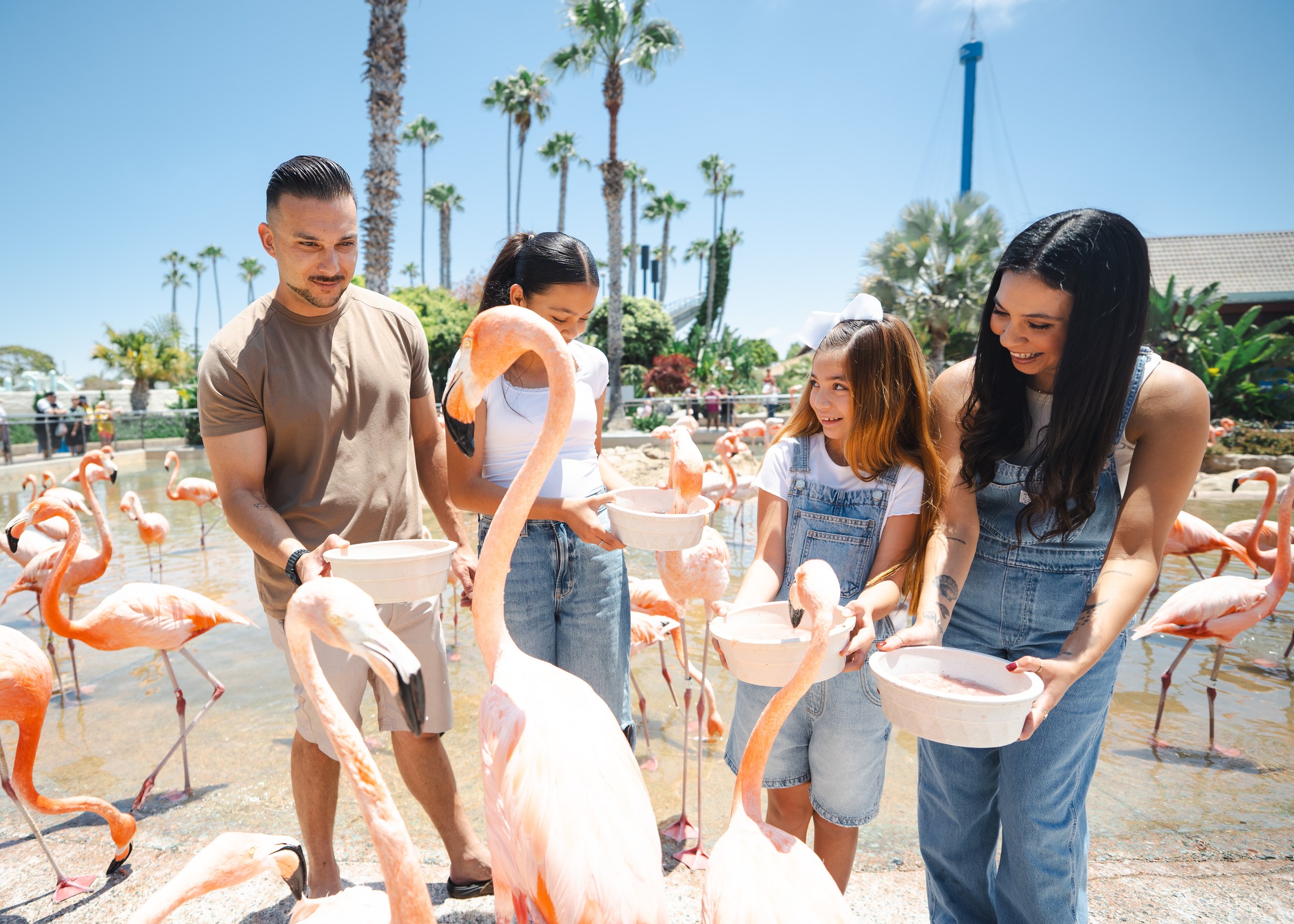 SeaWorld San Diego’s 2027 Annual Pass starts at $18 per month.