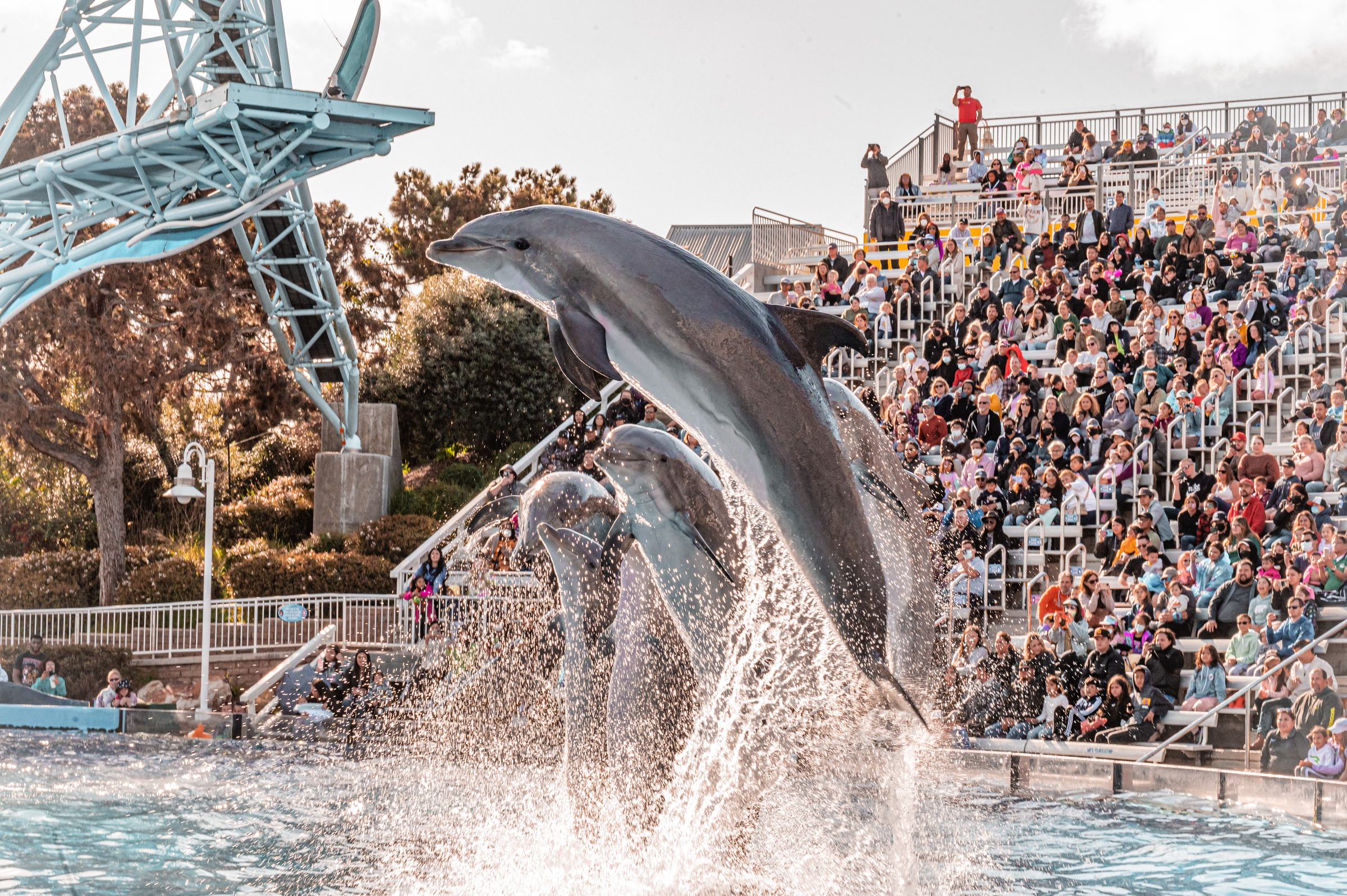 SeaWorld San Diego’s 2027 Annual Pass starts at $18 per month.
