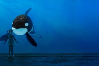 SeaWorld San Diego 2027 Annual Pass Starts at $18 Per Month