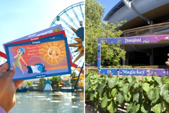 Disneyland Magic Key collectible cards and a Magic Key license plate frame at the Disneyland Resort.