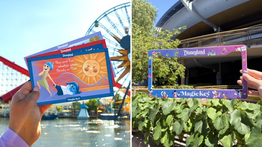 Disneyland Magic Key collectible cards and a Magic Key license plate frame at the Disneyland Resort.
