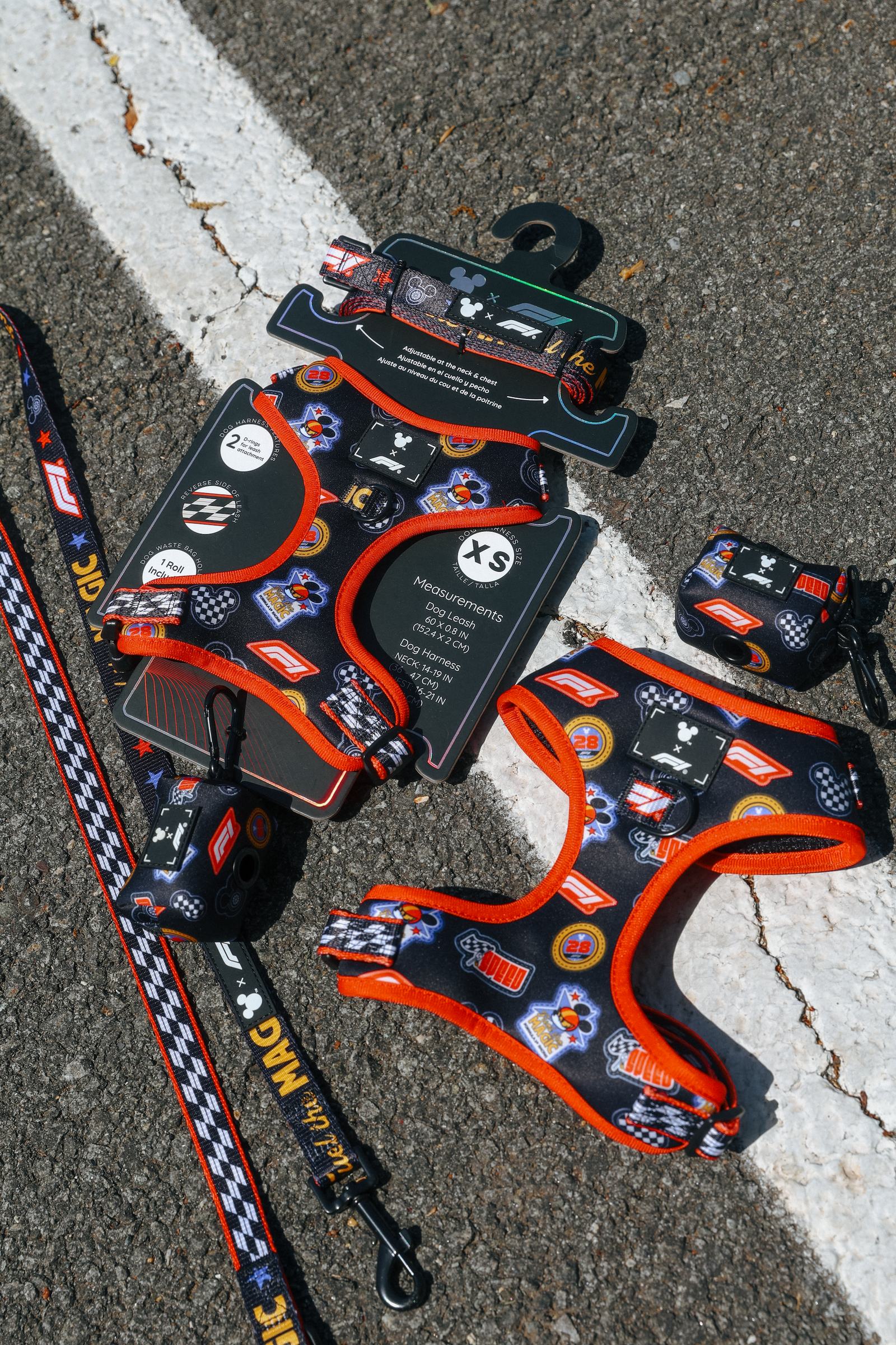Official source photo for Lightning McQueen at the Italian Grand Prix in Monza 2026