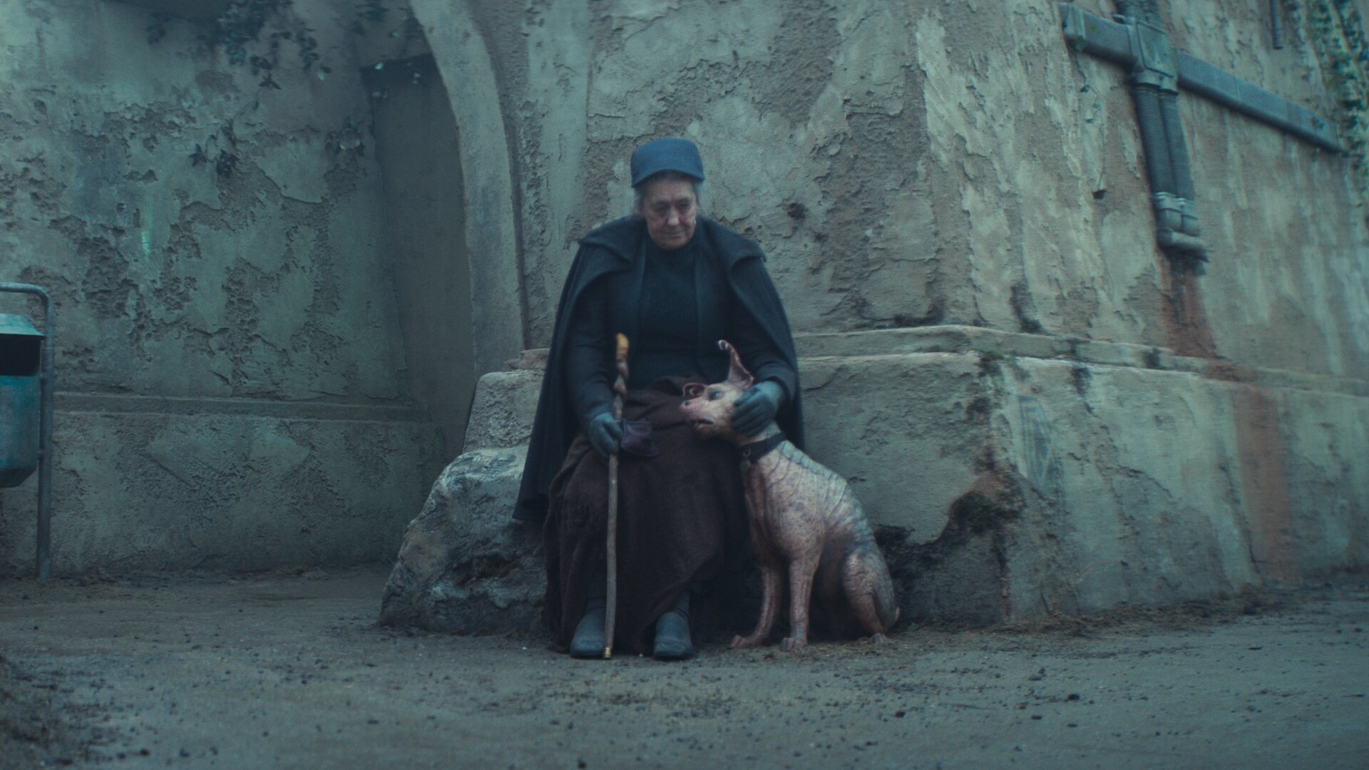 Official source photo for Star Wars Dogs: 10 Good Doggos From Anooba to Vulptex