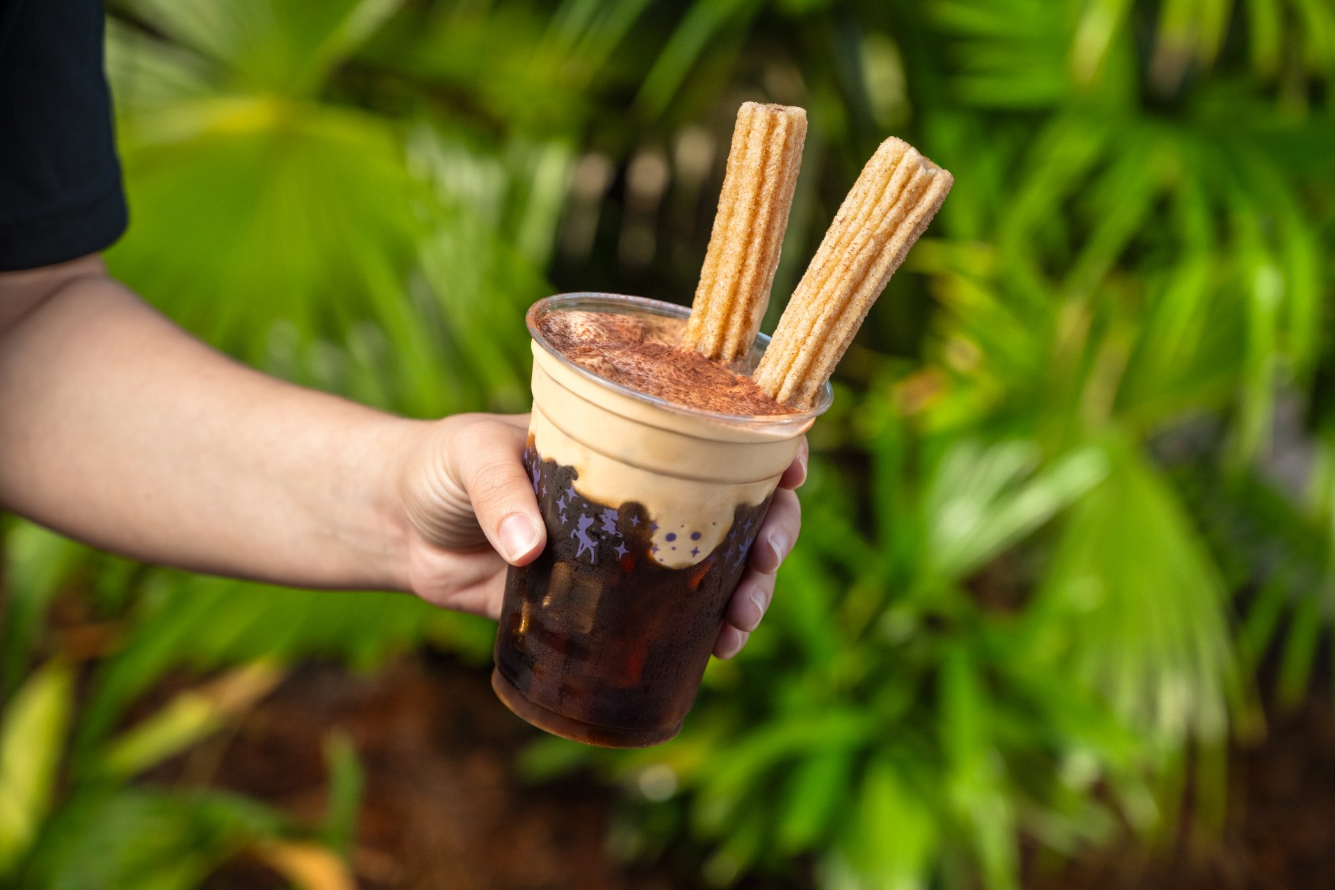 Official source photo for Disney World Adds New Churros, Slushes, and Mickey Waffles This Fall