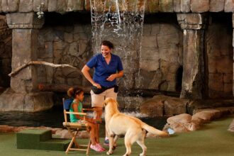 Animal Actors On Location! Closes at Universal Studios Florida on November 2