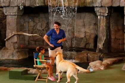 Animal Actors On Location! Closes at Universal Studios Florida on November 2