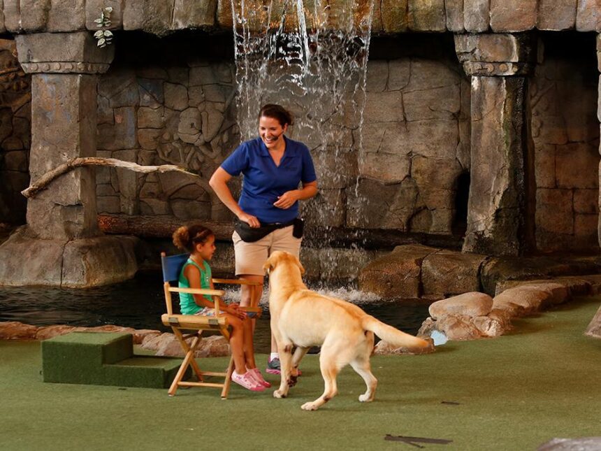 Animal Actors On Location! Closes at Universal Studios Florida on November 2