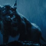 Star Wars Dogs: 10 Good Doggos From Anooba to Vulptex