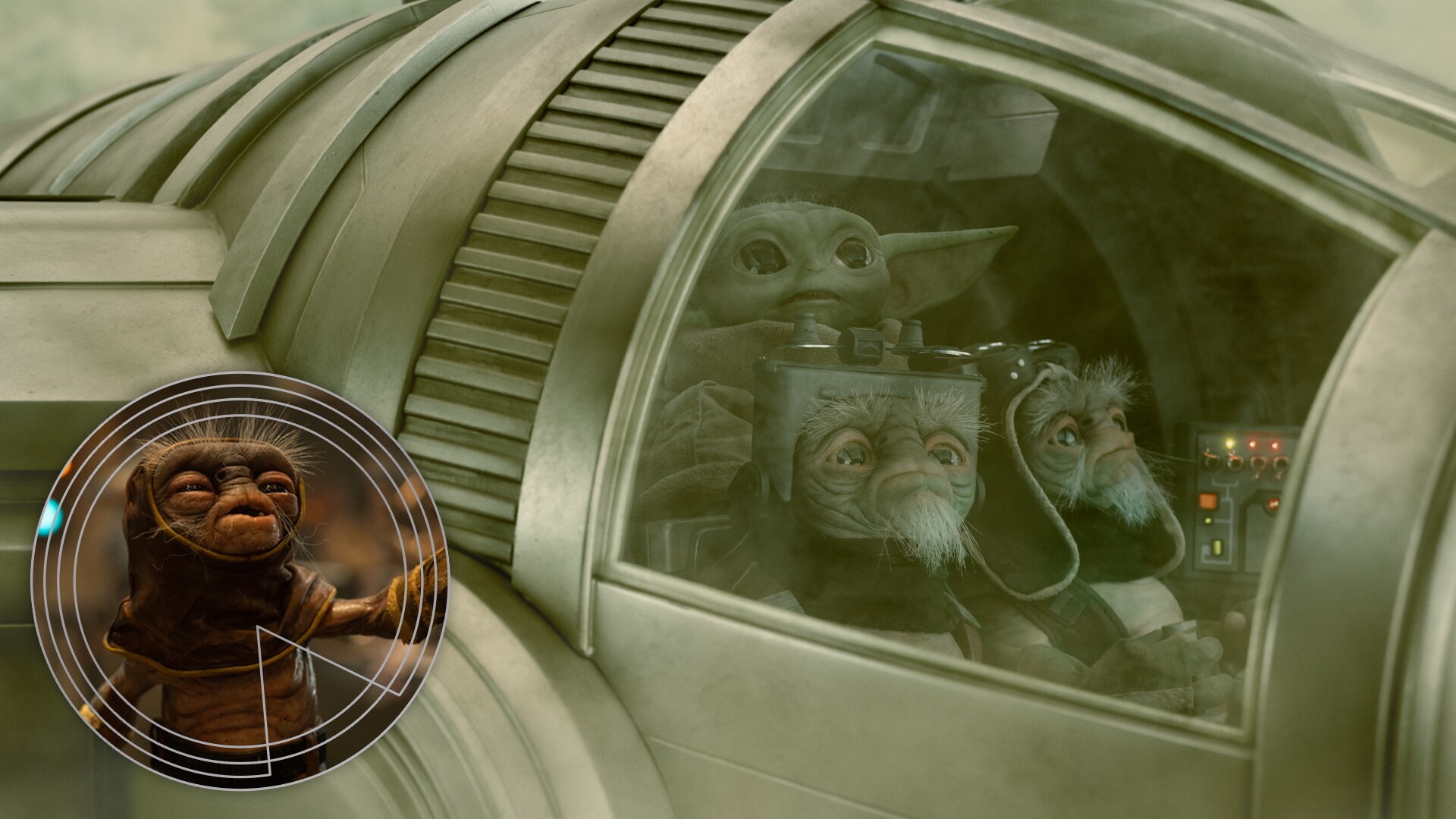 Shirley Henderson, the original performer of Babu Frik in Star Wars: The Rise of Skywalker, returned to provide the voices