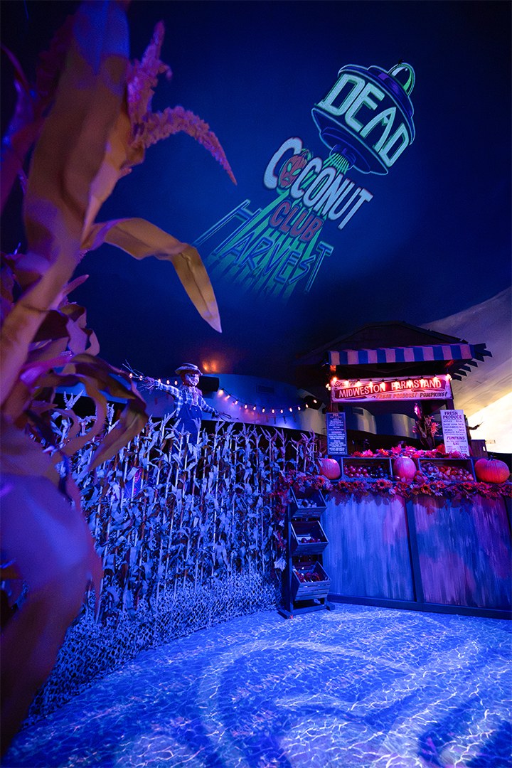 The cornfield dance floor of Dead Coconut Club